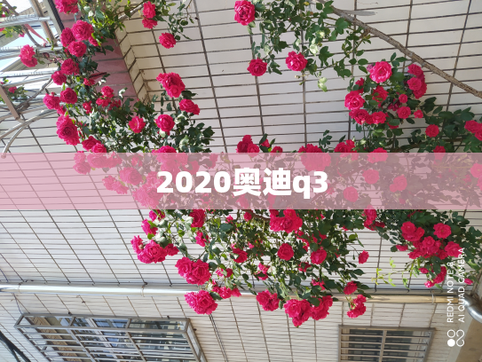 2020奥迪q3