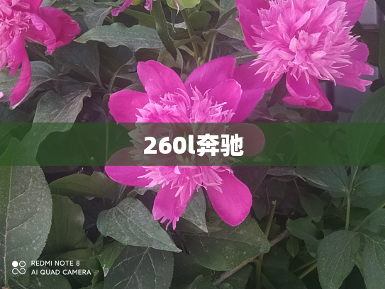 260l奔驰