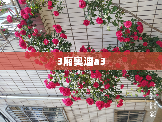 3厢奥迪a3