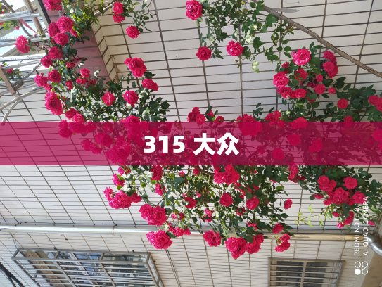 315 大众