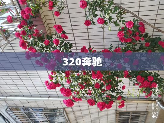320奔驰