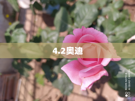 4.2奥迪