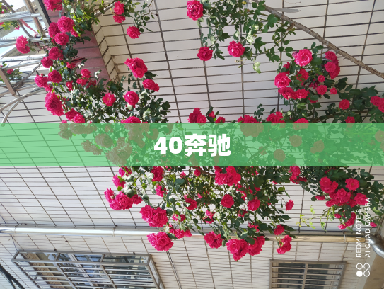 40奔驰