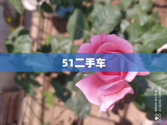 51二手车
