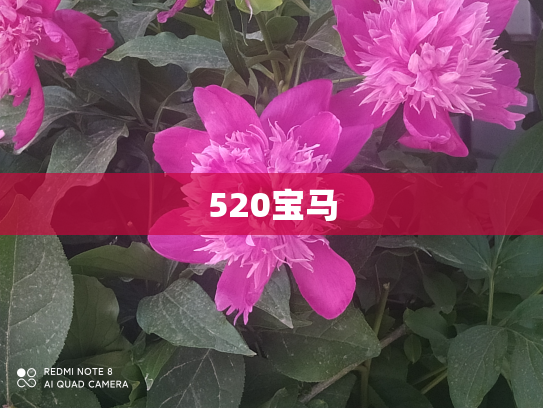 520宝马