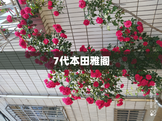 7代本田雅阁