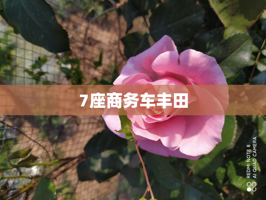 7座商务车丰田