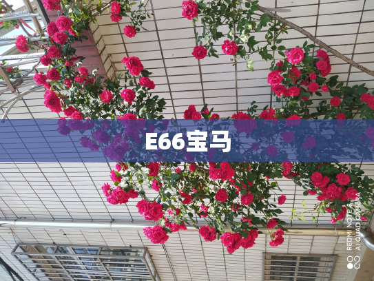 E66宝马