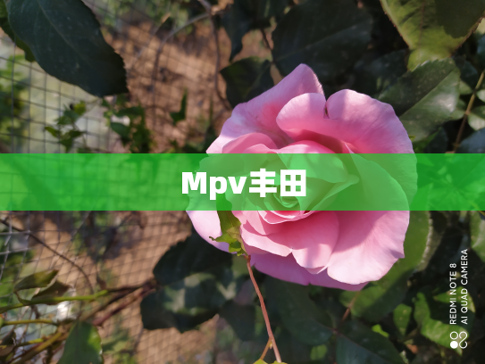 Mpv丰田
