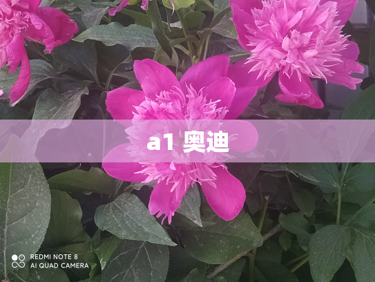 a1 奥迪