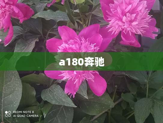 a180奔驰