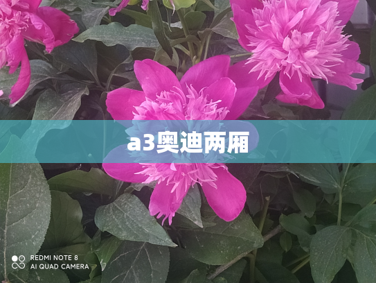 a3奥迪两厢