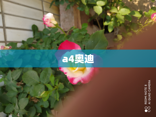 a4奥迪