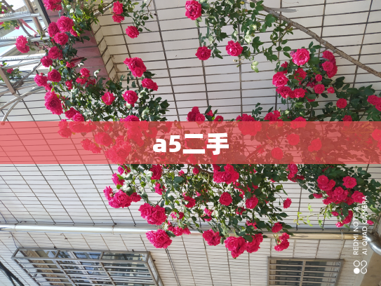 a5二手
