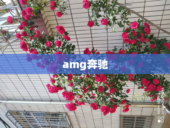 amg奔驰