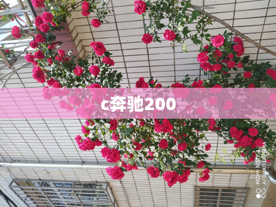 c奔驰200
