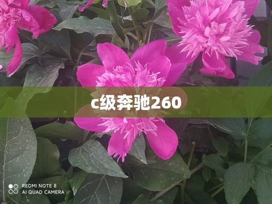 c级奔驰260