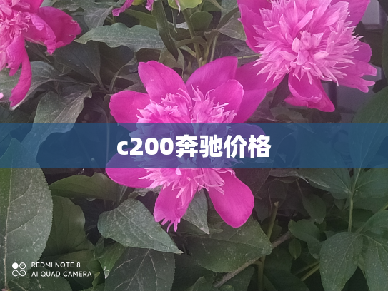 c200奔驰价格