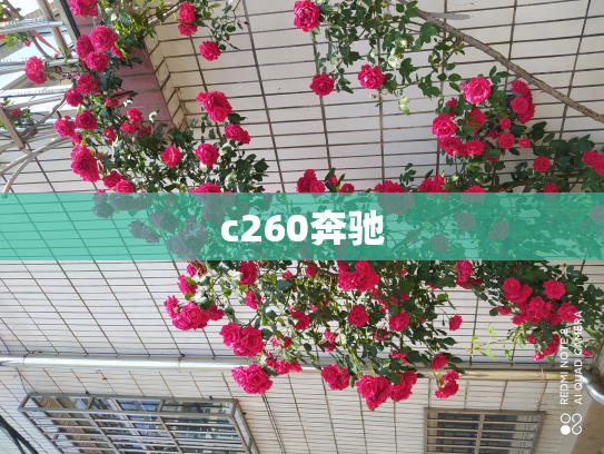 c260奔驰