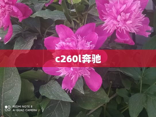 c260l奔驰