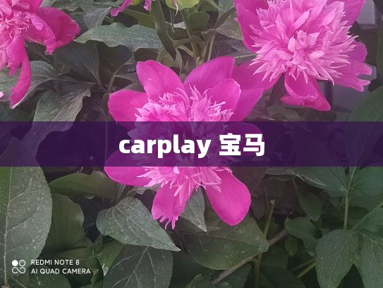 carplay 宝马