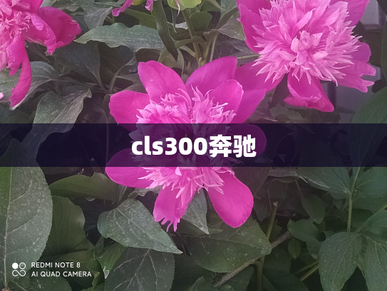 cls300奔驰