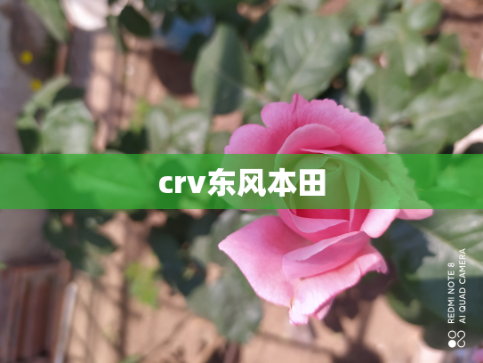 crv东风本田