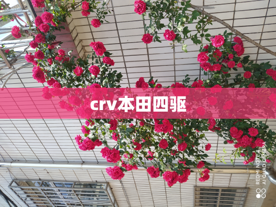 crv本田四驱
