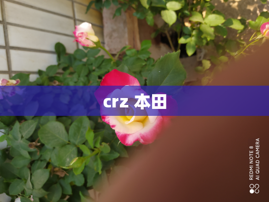 crz 本田