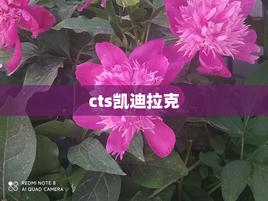 cts凯迪拉克