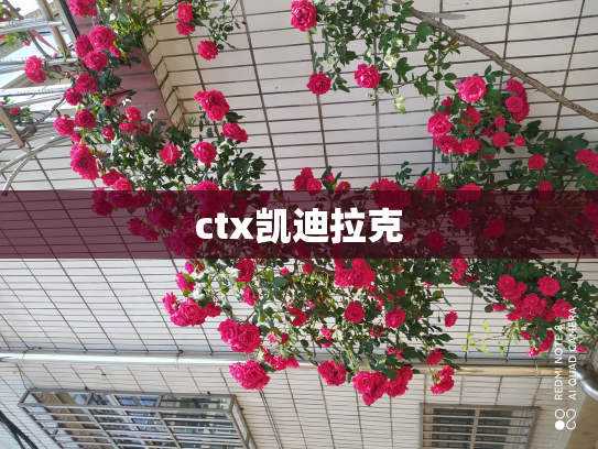 ctx凯迪拉克