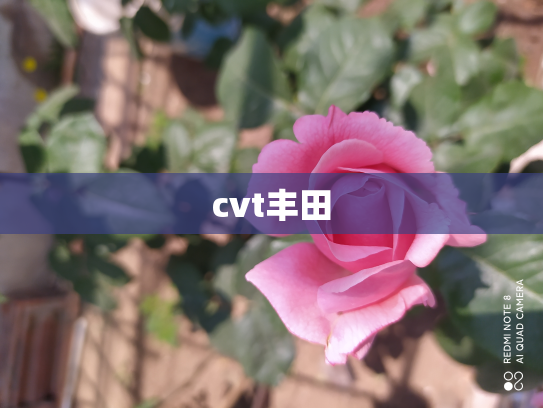 cvt丰田