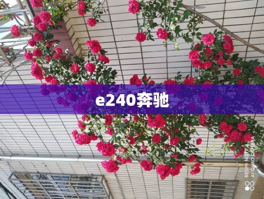 e240奔驰