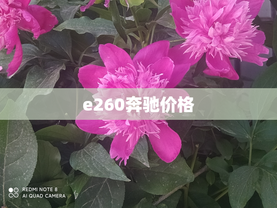 e260奔驰价格