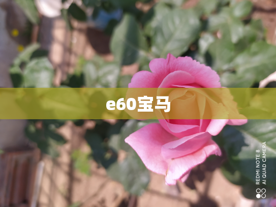 e60宝马