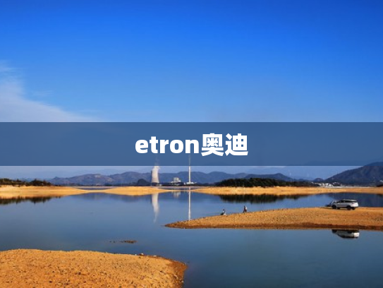etron奥迪
