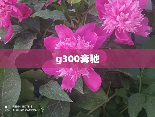 g300奔驰