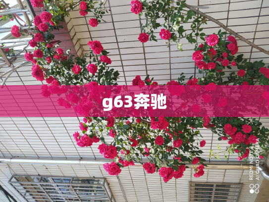 g63奔驰