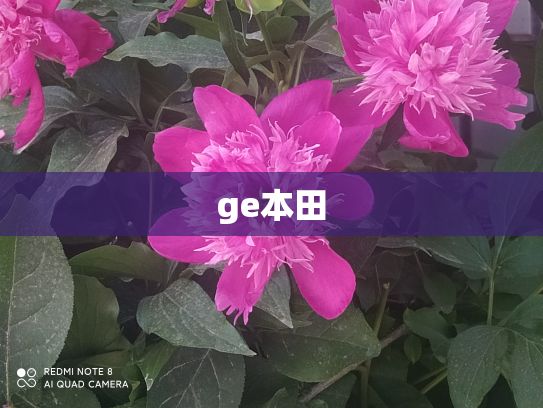 ge本田