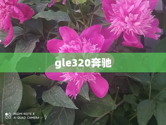 gle320奔驰
