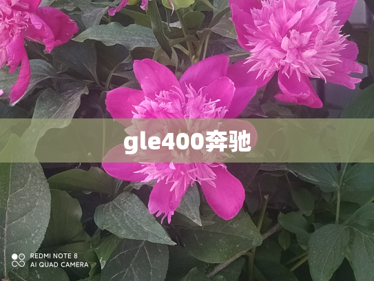 gle400奔驰