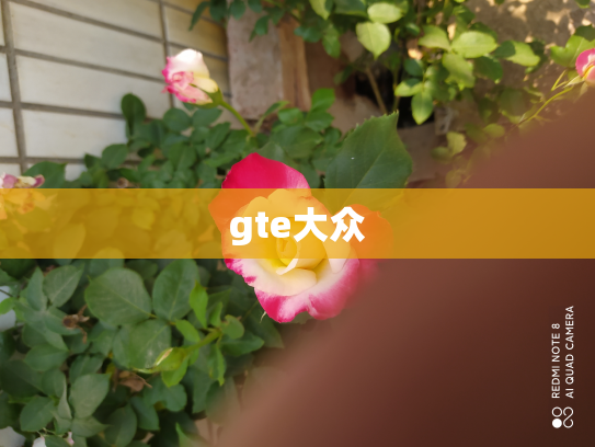 gte大众