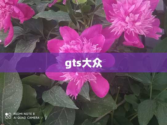 gts大众
