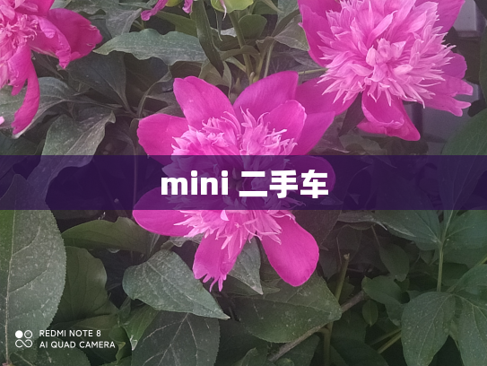 mini 二手车