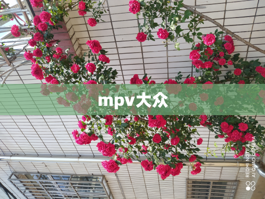 mpv大众