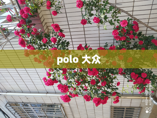 polo 大众