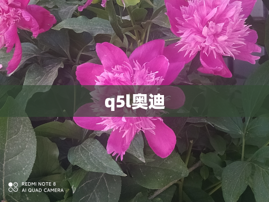 q5l奥迪
