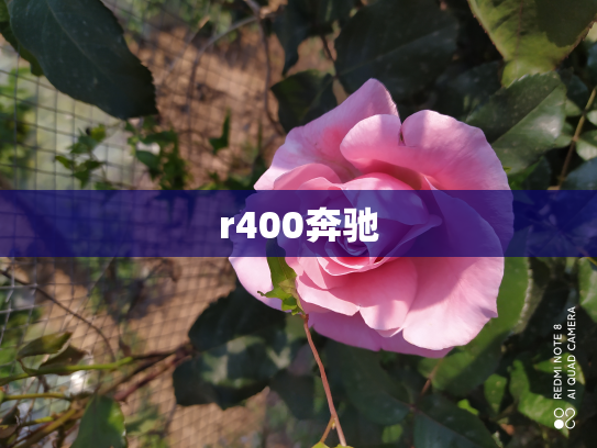 r400奔驰