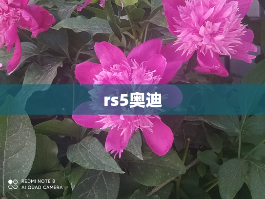 rs5奥迪