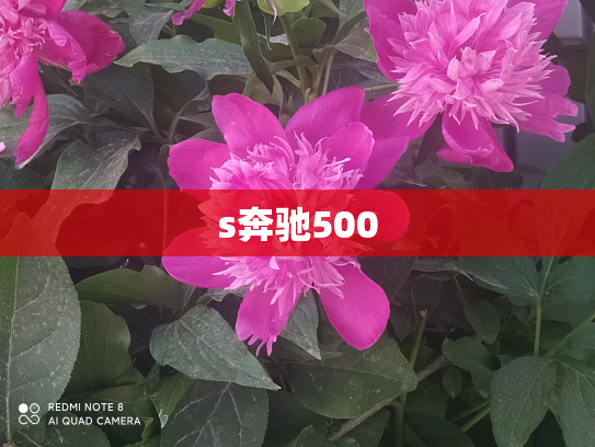 s奔驰500